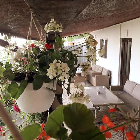 منزل الضيف موريغيول  في Casa Chitu المظهر الخارجي الصورة