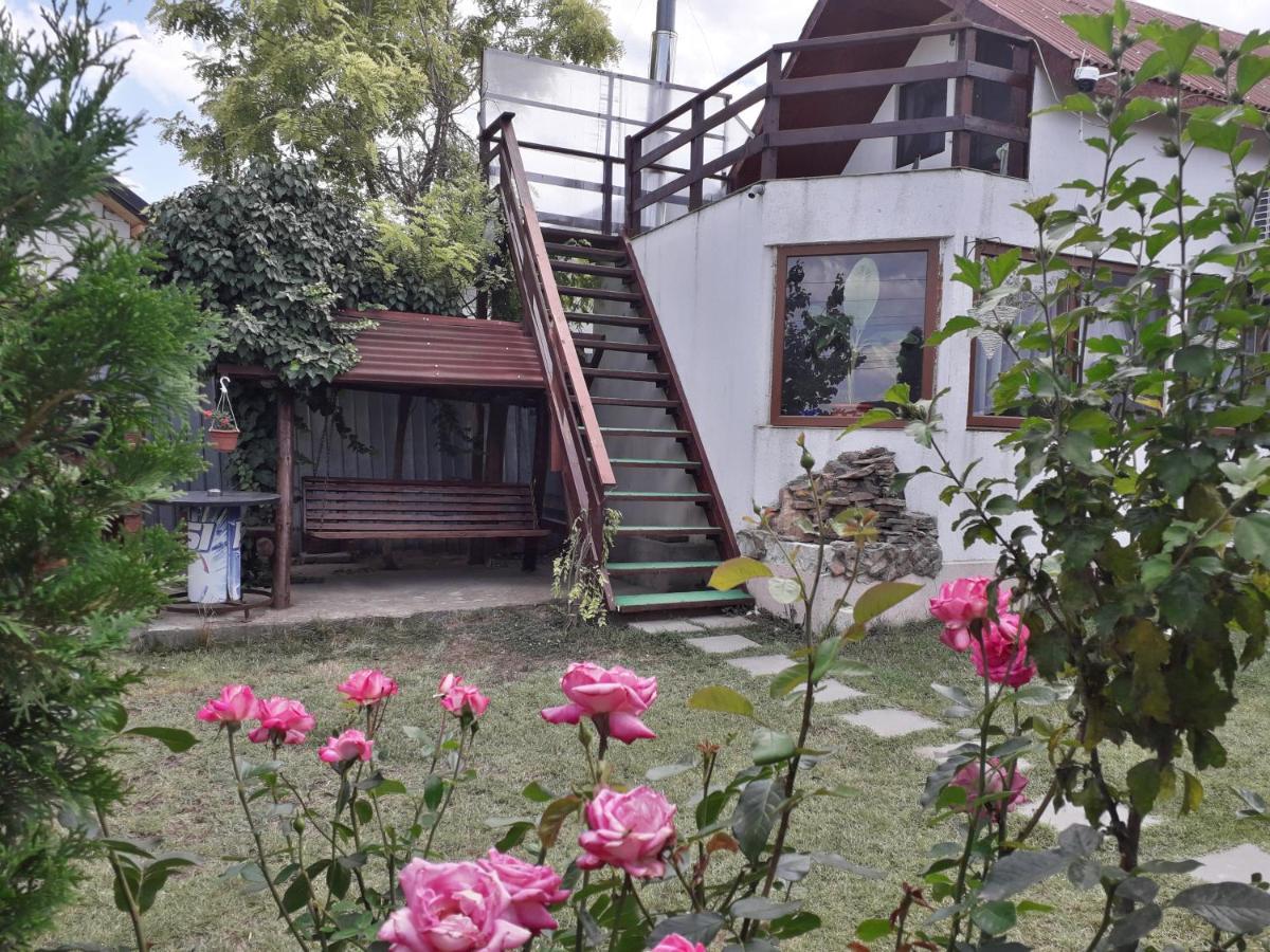 منزل الضيف موريغيول  في Casa Chitu المظهر الخارجي الصورة