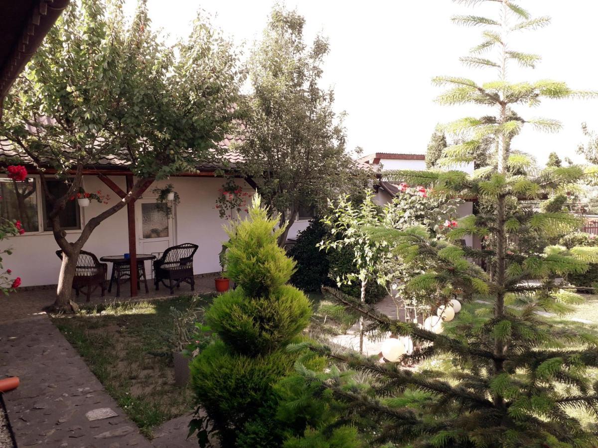 منزل الضيف موريغيول  في Casa Chitu المظهر الخارجي الصورة