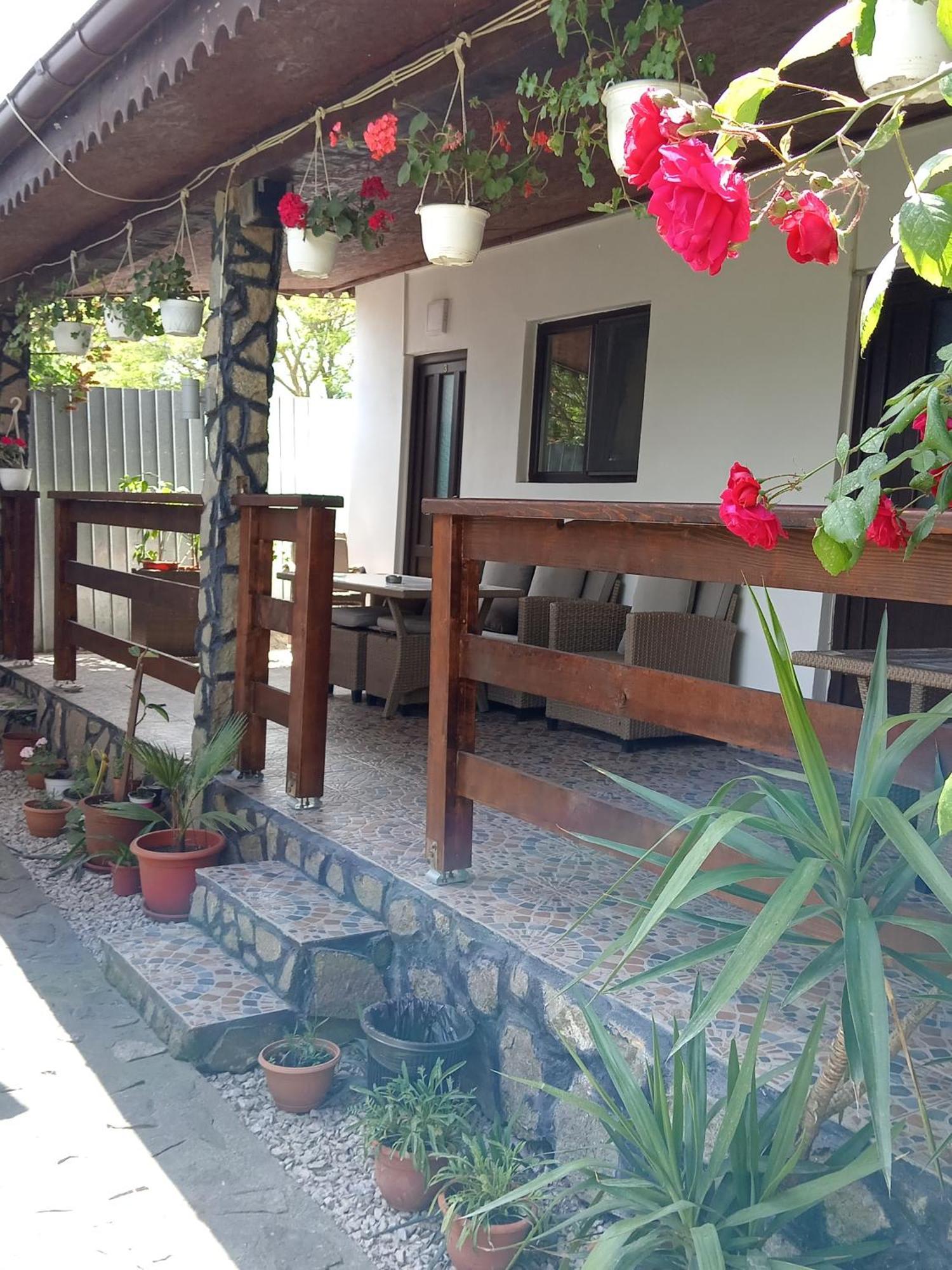 منزل الضيف موريغيول  في Casa Chitu المظهر الخارجي الصورة